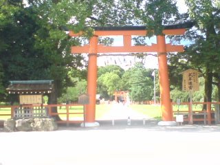 080717_1514~01.jpg