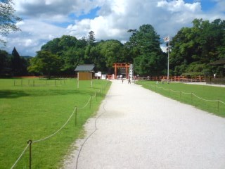 080717_1516~01.jpg
