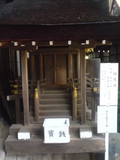 080717_1535~01.jpg
