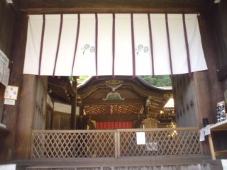 080717_1536~01.jpg