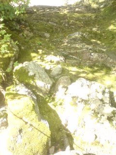 080717_1542~01.jpg
